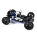 Truggy Pirate Boomer Thermique 4WD RTR - 1/10 - T2M T4932