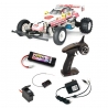 Pack Buggy The Frog 2WD - TAMIYA 58354PCK - 1/10