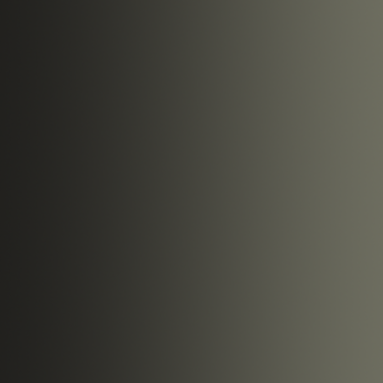 Gris infanterie, 18ml Xpress Color Intense - VALLEJO 72.469-181