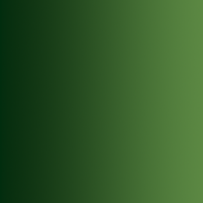 Vert forêt, 18ml Xpress Color Intense - VALLEJO 72.465-177