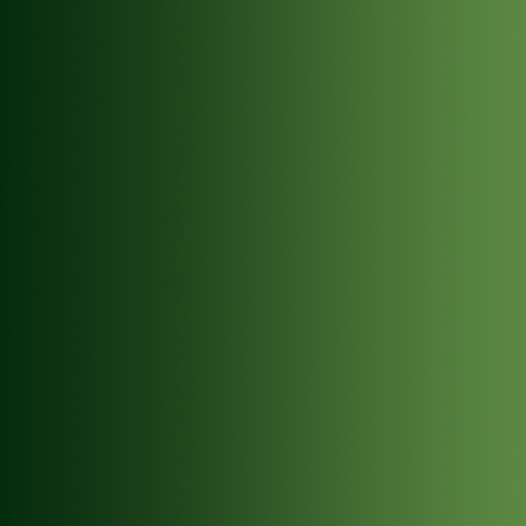 Vert forêt, 18ml Xpress Color Intense - VALLEJO 72.465-177