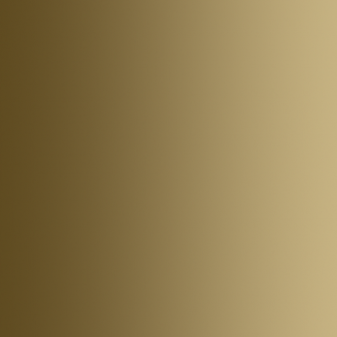 Sac d'os, 18ml Xpress Color - VALLEJO 72.450-162