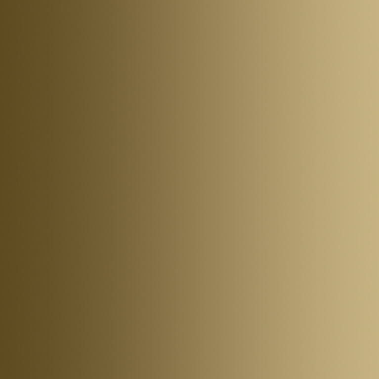 Sac d'os, 18ml Xpress Color - VALLEJO 72.450-162