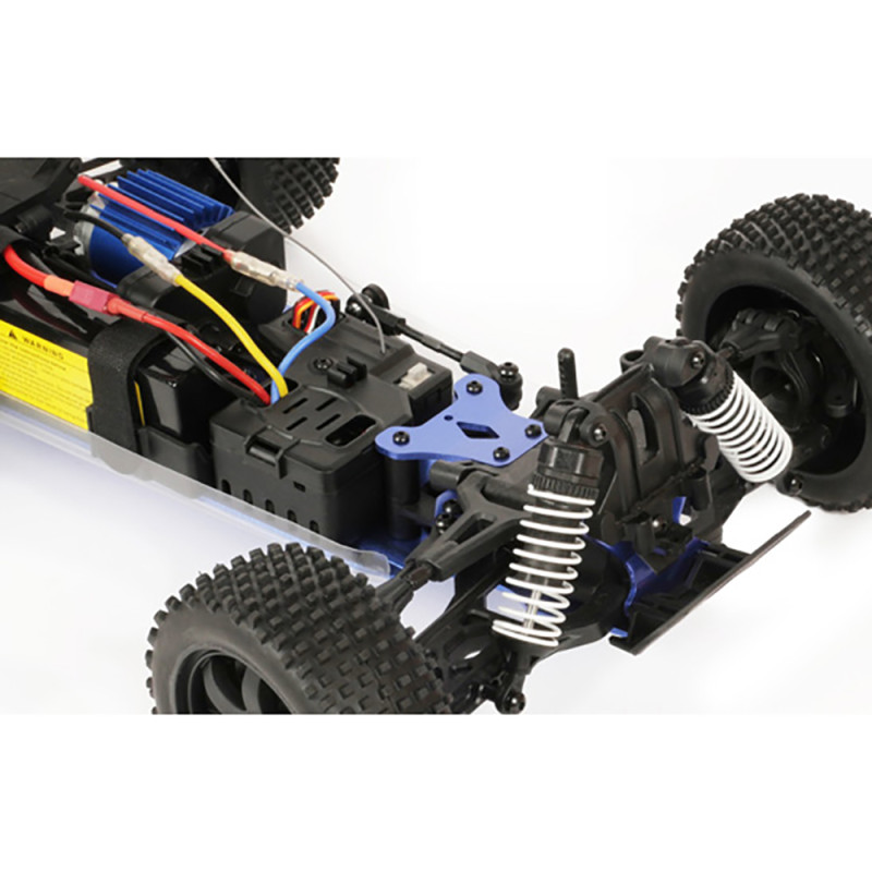 Pirate Snake Brushless + accus/chargeur - T2M T4969BL