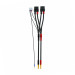 Câble de charge parallèle pro 2S T1000- SKYRC SK-600023-20