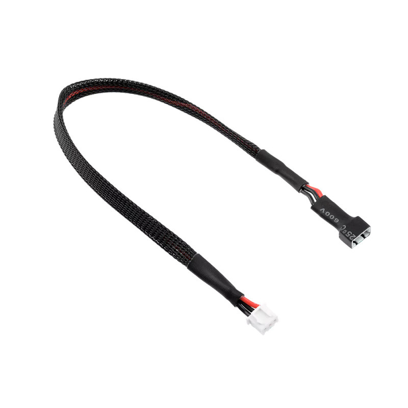 Câble d'équilibrage 2S connecteur XH - 30cm - CORALLY C-50204