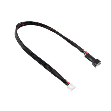 Câble d'équilibrage 2S connecteur XH - 30cm - CORALLY C-50204