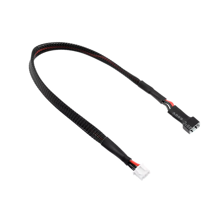 Câble d'équilibrage 2S connecteur XH - 30cm - CORALLY C-50204