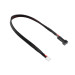 Câble d'équilibrage 2S connecteur XH - 30cm - CORALLY C-50204