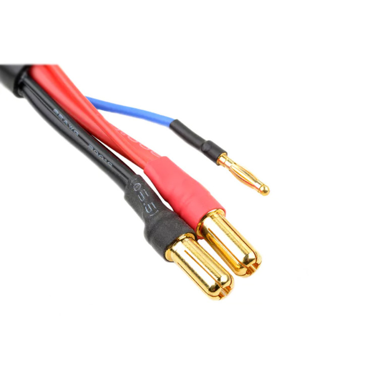 Câble charge/équilibrage 2S - 30cm - CORALLY C-50289