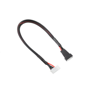Câble d'équilibrage 4S connecteur XH - 30cm - CORALLY C-50202