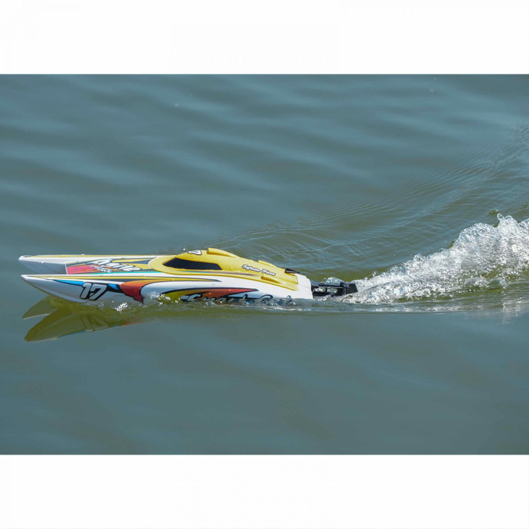 Catamaran à moteur "Smart Cat" RTR - JOYSWAY 8204