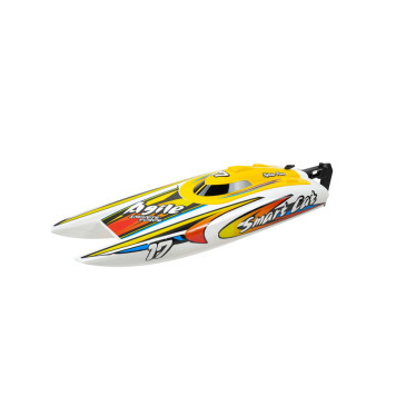 Catamaran à moteur "Smart Cat" RTR - JOYSWAY 8204