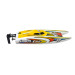Catamaran à moteur "Smart Cat" RTR - JOYSWAY 8204