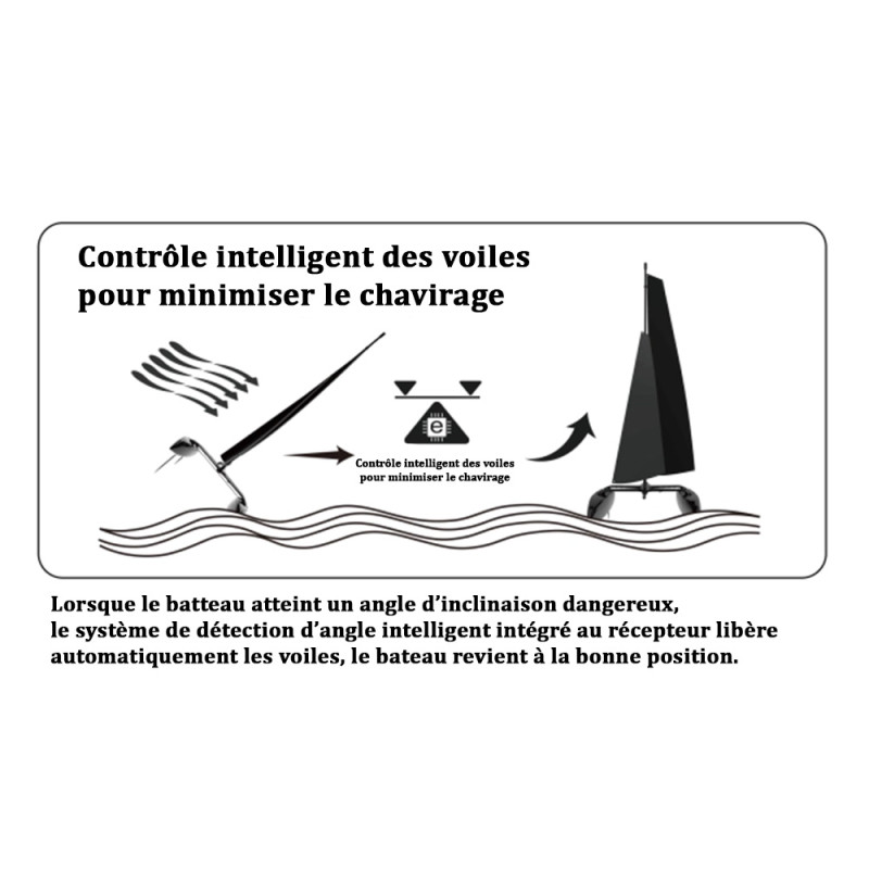 Catamaran Voilier Binary V3 RTR - JOYSWAY 8807V3