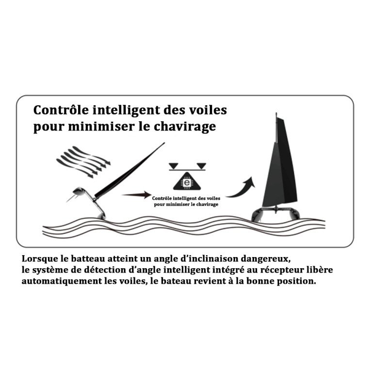 Catamaran Voilier Binary V3 RTR - JOYSWAY 8807V3