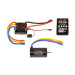 Combo Brushless avec Moteur 4068 - 1/8 - T2M T49011