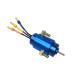 Moteur bateau Seaking 2040 12T 4800KV - HOBBYWING 90070000 Moteur bateau Seaking 2040 12T 4800KV - HOBBYWING 90070000