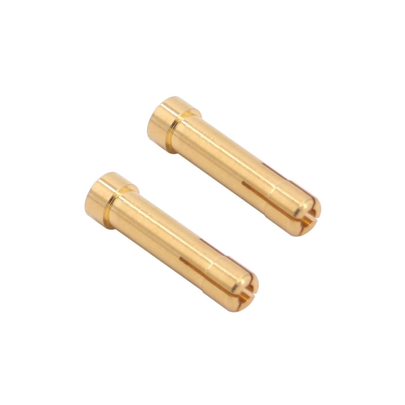 2 Prises mâles de 5mm à 4mm - CENTRO C5099
