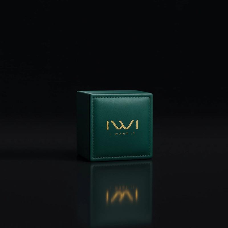 Montre Connectée IWI Pit Watch - I WANT IT IWI-001