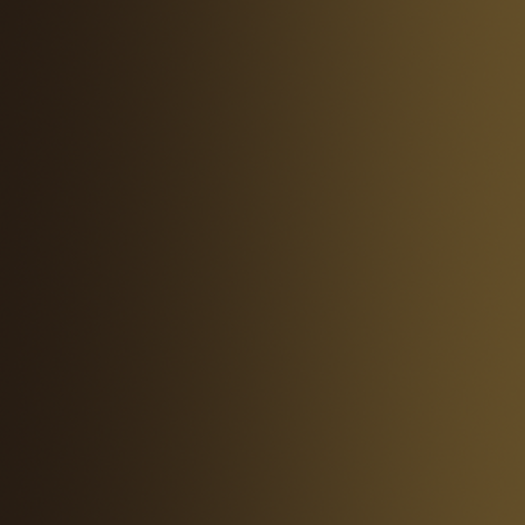 Terre Brune Aride N°156 - 18 ml Xpress Color - VALLEJO 72.420