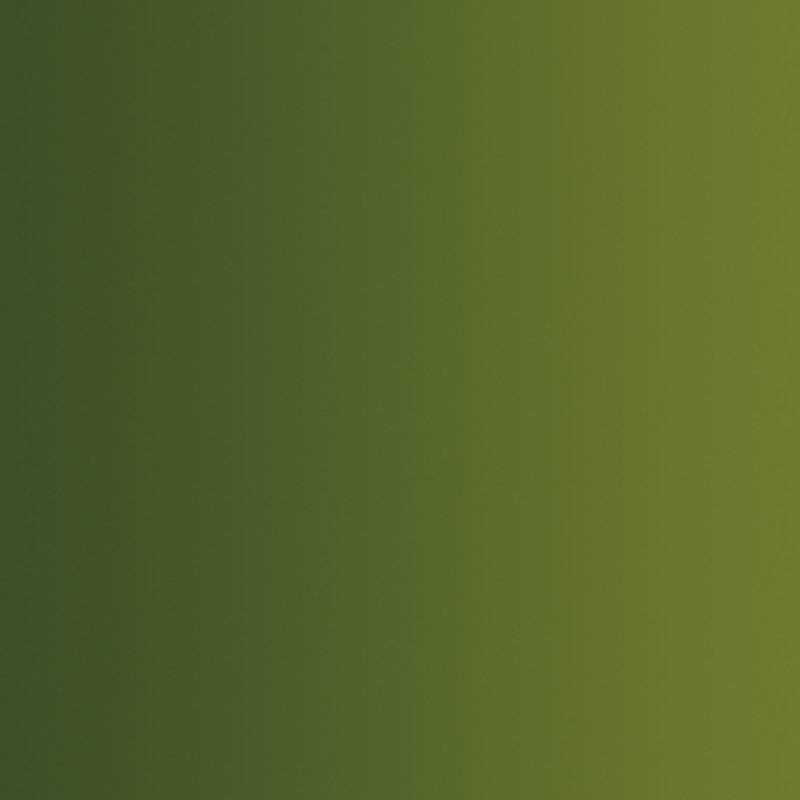 Peau d'Orc N°151 - 18 ml Xpress Color - VALLEJO 72.415