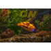 XS Deep Sea Dragon RTR - CARSON 500707117