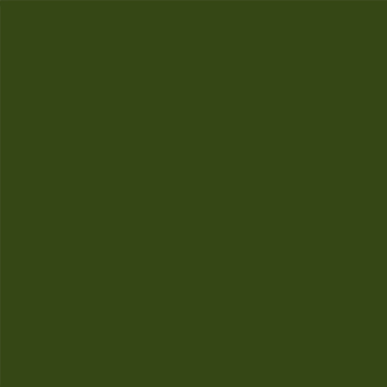 Moss Ink - 18ml Squidmar Color - VALLEJO 74.269