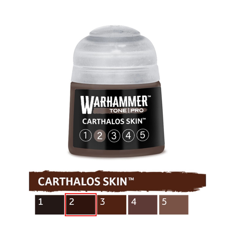Carthalos Skin 2 - 12ml Tone Pro - WARHAMMER 99189961242 20-072