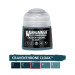 Craventhrone Cloak 3 - 12ml Tone Pro - WARHAMMER 99189961363 20-313