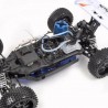 Buggy Pirate Nitron Rouge 4WD Thermique, RTR - 1/10 - T2M T4926