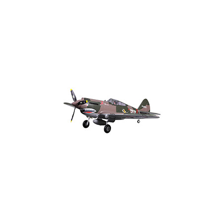 P-40B Flying Tiger 1/11