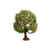 Arbre