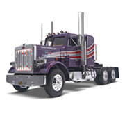 Camion Civil