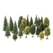 Arbre et Arbuste