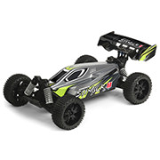 Pirate Stinger II 1/10