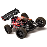 Pirate Thunder Nitro 1/10