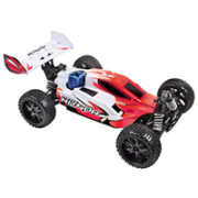 Pirate Nitron Nitro 1/10