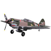P-40B Flying Tiger 1/11